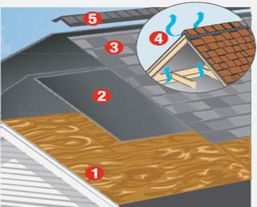 Sistema Shingle